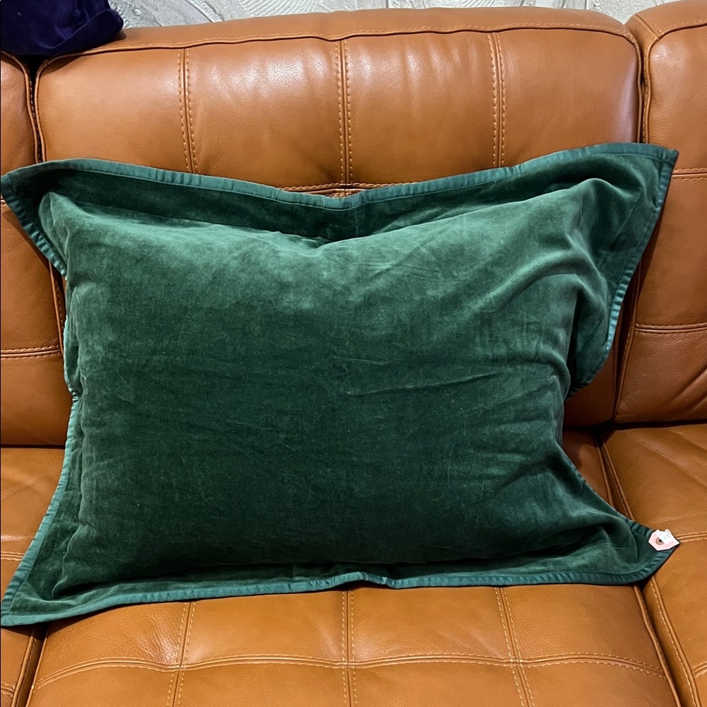 Velvet Green accents Pillow. Standard size